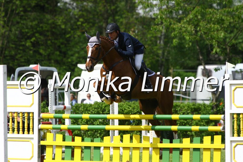 005M6499_Minos_Springpferde L.JPG